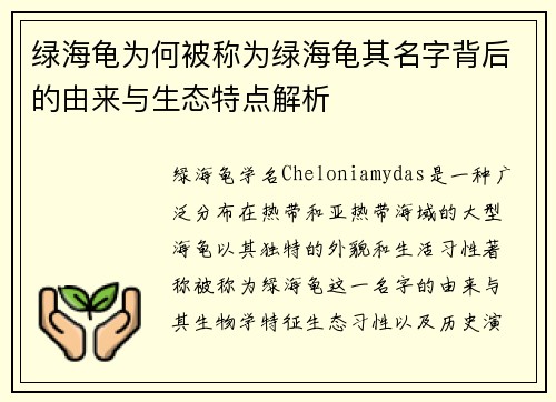 绿海龟为何被称为绿海龟其名字背后的由来与生态特点解析